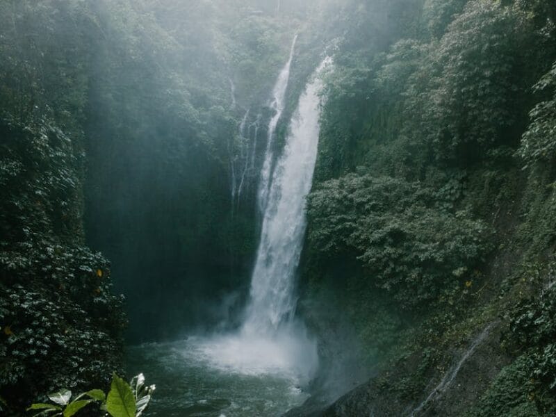 Torrent9 et ses alternatives : Guide pour utilisateurs