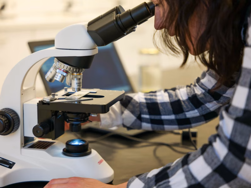 Top 5 des microscopes numériques USB pour les cours de science