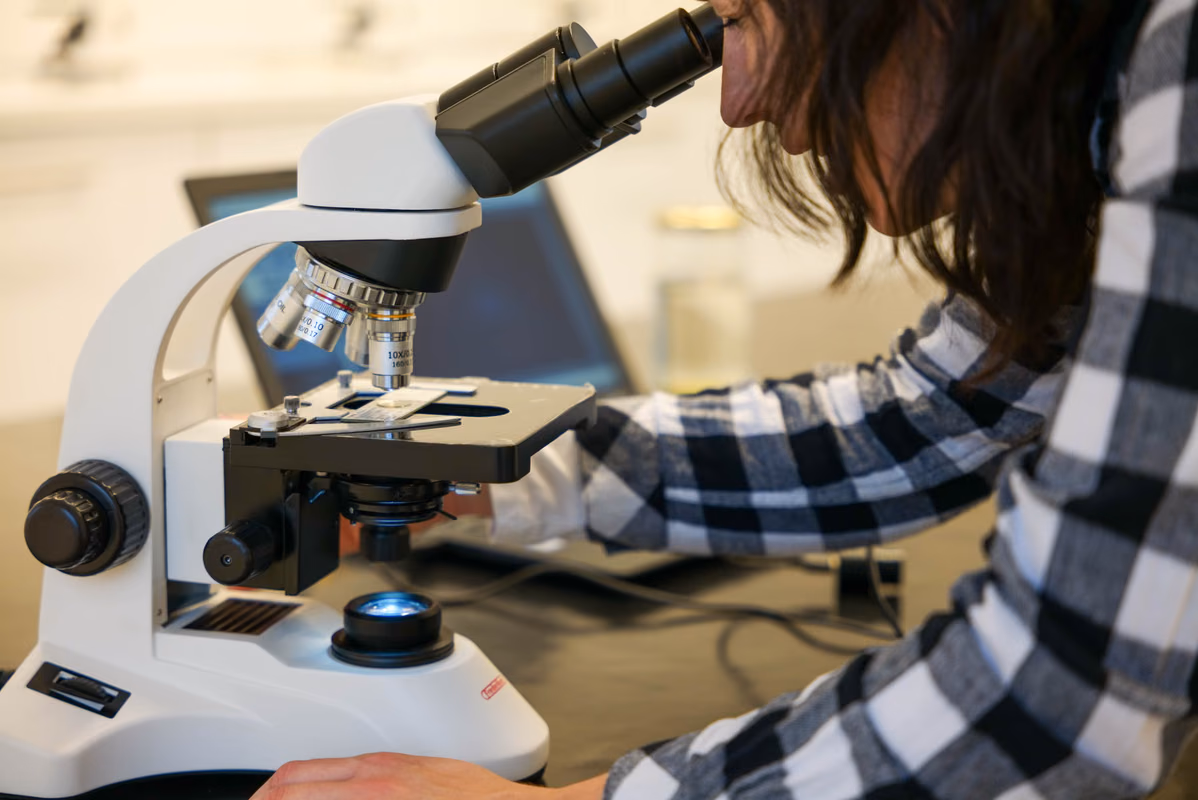 Top 5 des microscopes numériques USB pour les cours de science