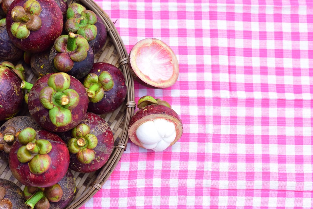 Propriétés amincissantes du garcinia cambogia